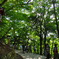 高尾山 no.3