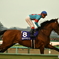 2018年有馬記念（ブラストワンピース）