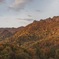 北海道はすっかり紅葉
