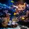 水族館