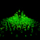 Green_Glass