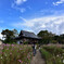 秋の般若寺19’ 其の弐