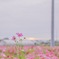 ちょっと背伸び
