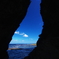 a sea slug in silhouette