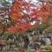 少林山達磨寺