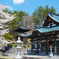 桜とお寺