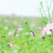 熊本県阿蘇市萌の里2