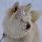 暴風雪その1