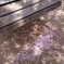 公園 桜