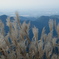 岩湧山