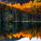 [ A Mirror in Nature ]