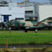 RF-4E(J) 記念塗装