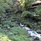 養老の滝