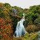 紅葉と滝