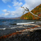 紅葉と空と波と
