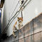 猫撮り散歩2425