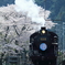 poppo-20