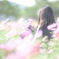 コスモス畑のカメラ女子