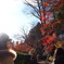 紅葉