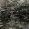 石橋と池