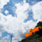 名の知らぬ花