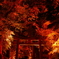 神あかり2019～燃ゆる大瀧神社