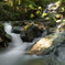高山流水