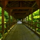 東福寺・偃月橋４