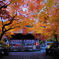 鍬山神社 紅葉