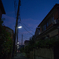 夜の帳（なんてことのない住宅街の一角で）