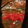 向こうの紅