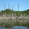 TAKATAKI