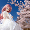 SAKURA [2019 Spring]
