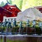 箱根神社