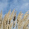 空が綺麗