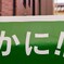 かに！！