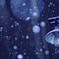 初雪