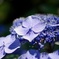 4EBE79F4-1704-4900-9872-B09E405B8314