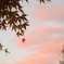 16F7007A-3DE8-40F1-838C-A75070292869