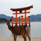 厳島の神