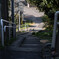 路地