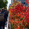 Autumn at High Line