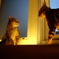 cat cafe