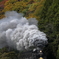 津和野本門より