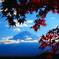 富士山紅葉そえて