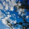 空に向かう