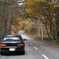 DP3M4596