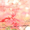 B4920EA9-E175-4423-A9E9-429AD570AA06