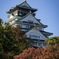 大阪城と紅葉