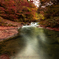 八重滝の紅葉④